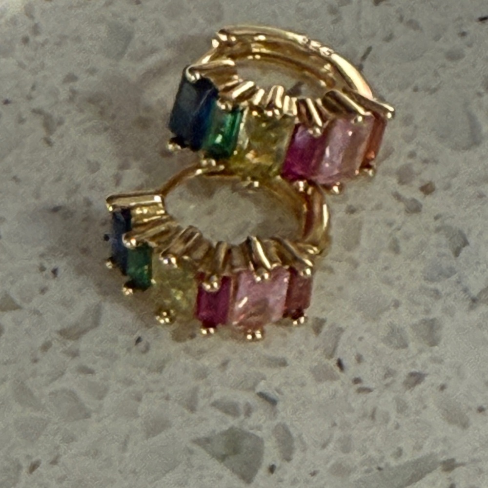 Danity jeweled earrings - NWT